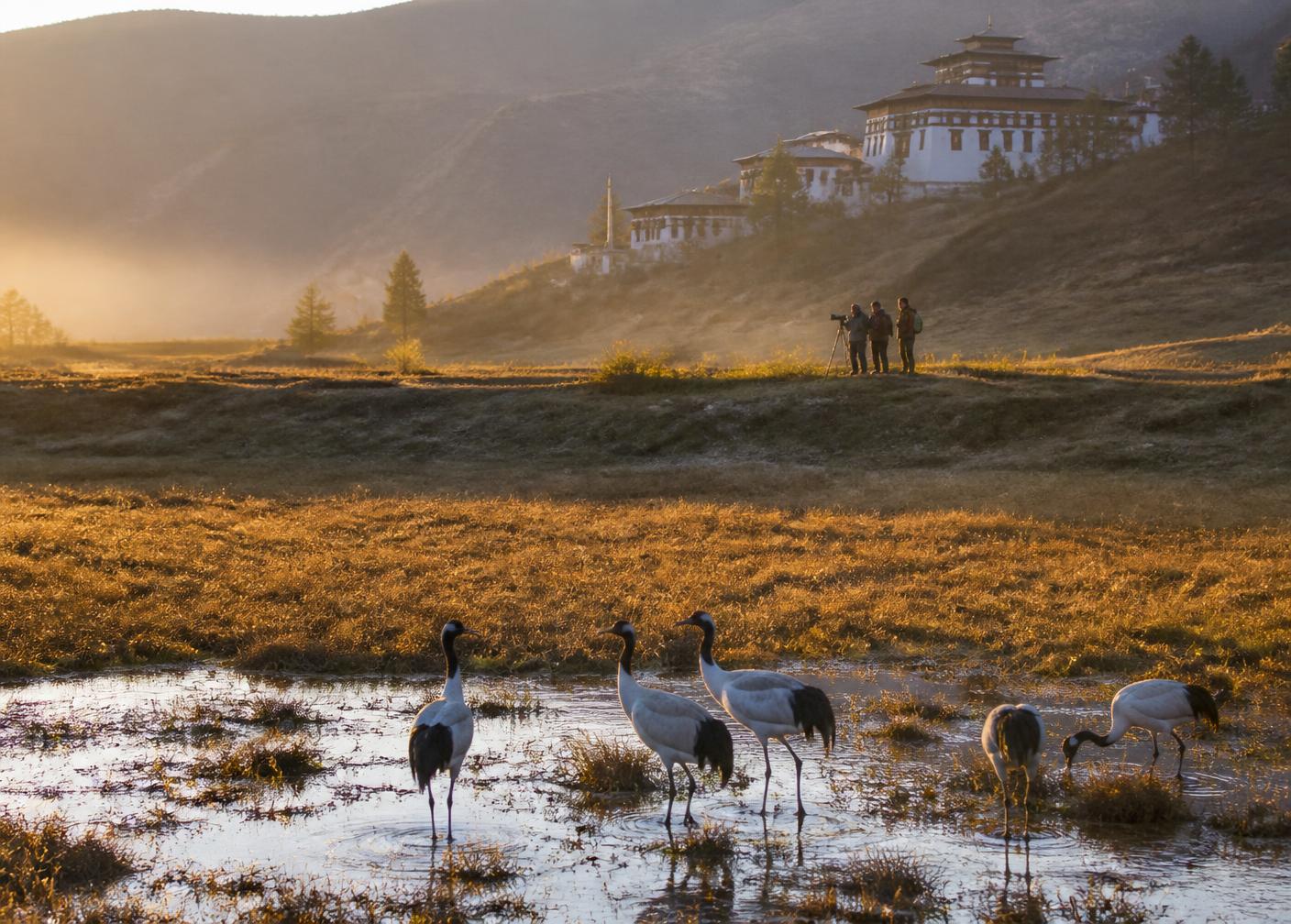 Nature, Birding & Conservation